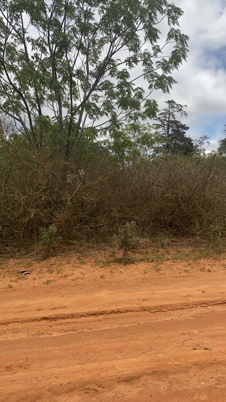 0 Bedroom Property for Sale in Bathurst Eastern Cape